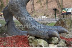 Calf Whole Body Dinosaurus-Allosaurus Animal photo references