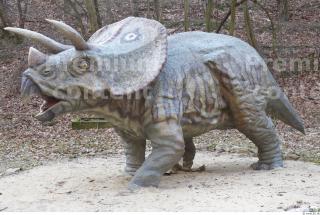 Triceratops