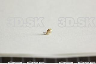 Snail 0045