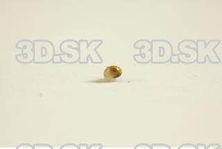 Snail 0085