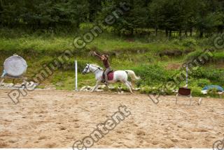 Horse poses 0094
