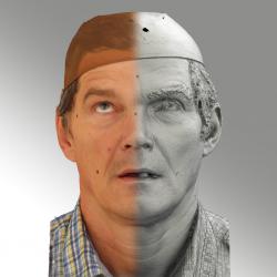 Head Man White Average 3D Scans