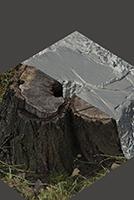 Stump Tree Base Enviroment Scan