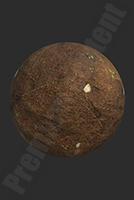 PBR Substance Material of Ground Forest 