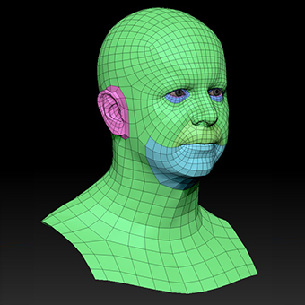 Head Man White Bald 3D Retopologised Heads