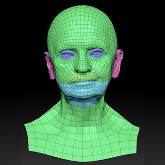 Head Woman White Bald 3D Retopologised Heads