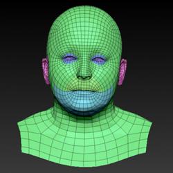 Retopologized 3D Head scan of Blanka SubDivision