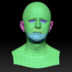 Retopologized 3D Head scan of Anton SubDivision