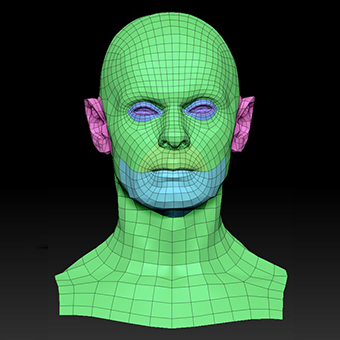 Head Man White Bald 3D Retopologised Heads