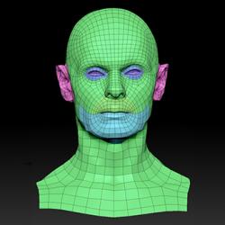 Retopologized 3D Head scan of Viktor SubDivision