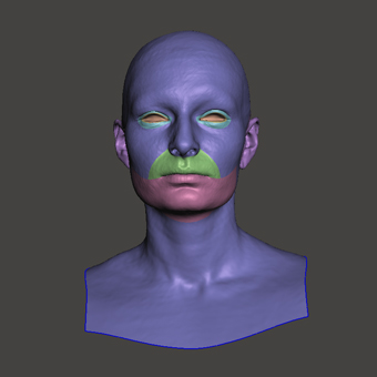 Head Woman White Bald 3D Retopologised Heads