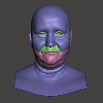 Head Woman White Bald 3D Retopologised Heads