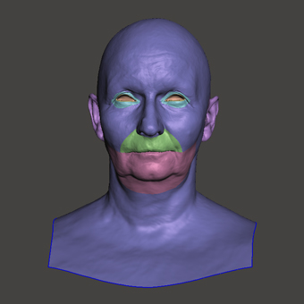 Head Woman White Bald 3D Retopologised Heads