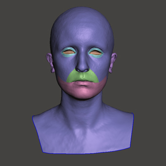 Head Woman White Bald 3D Retopologised Heads