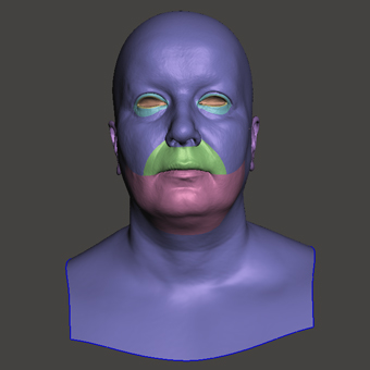 Head Woman White Bald 3D Retopologised Heads