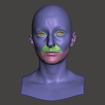 Head Woman White Bald 3D Retopologised Heads