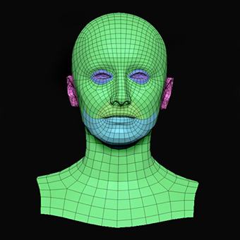 Head Woman White 3D Retopologised Heads