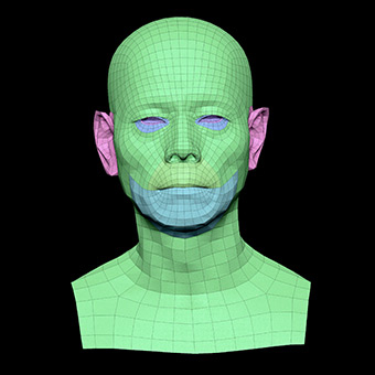 3D Retopologised Heads