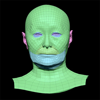 3D Retopologised Heads