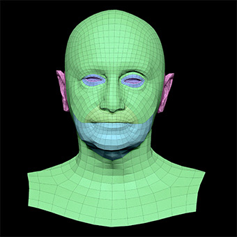 3D Retopologised Heads