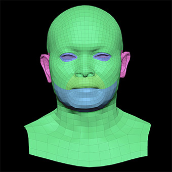 3D Retopologised Heads