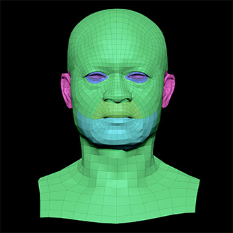 3D Retopologised Heads