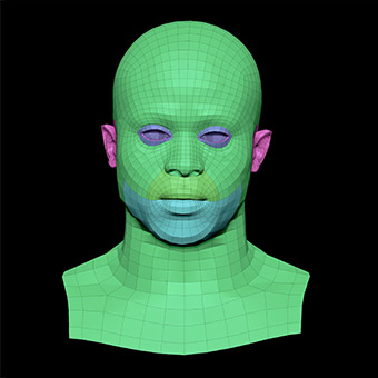 3D Retopologised Heads