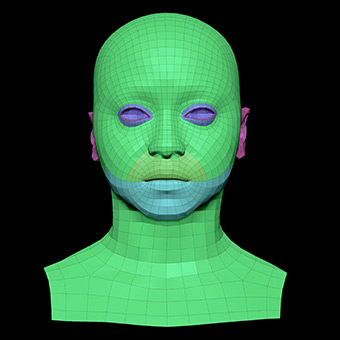 3D Retopologised Heads