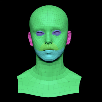 3D Retopologised Heads