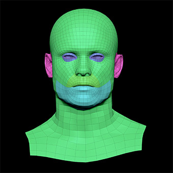 3D Retopologised Heads