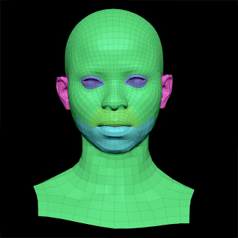 3D Retopologised Heads