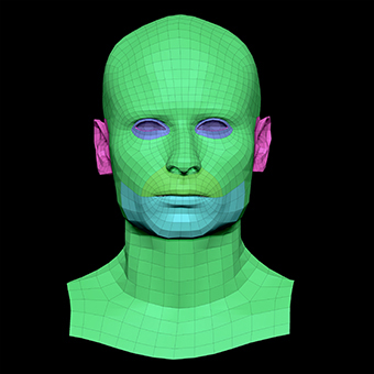 3D Retopologised Heads