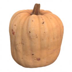 Food_Pumpkin_3D_Scan