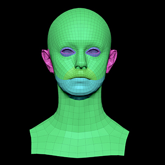 3D Retopologised Heads