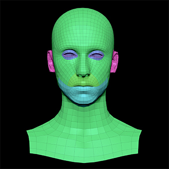 3D Retopologised Heads