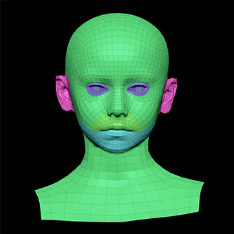 3D Retopologised Heads