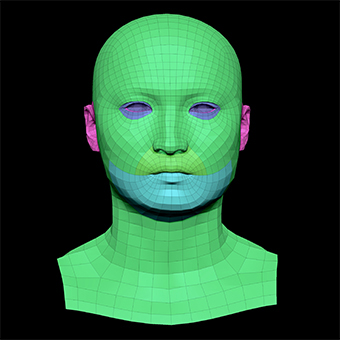 3D Retopologised Heads